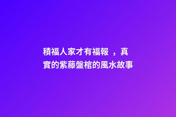 積福人家才有福報，真實的紫藤盤棺的風水故事
